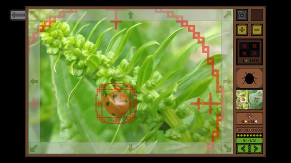 图片[3]-昆虫探寻者/Insect Seeker-秋风资源网