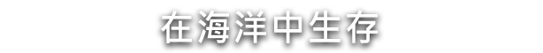 图片[4]-水之城/Aquatico（更新v1.601.1）-秋风资源网