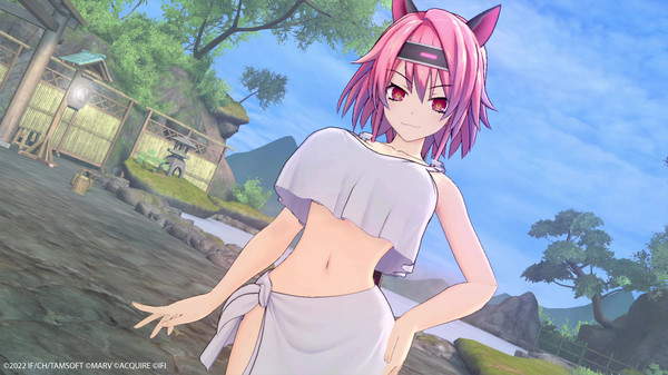 图片[10]-闪乱忍忍忍者大战海王星：少女们的响艳/Neptunia x SENRAN KAGURA: Ninja Wars-秋风资源网
