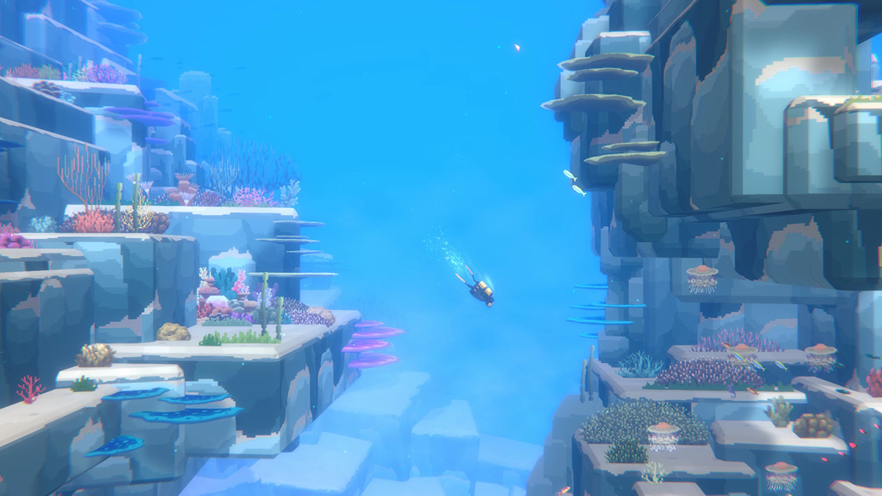 潜水员戴夫/Dave the Diver v1.0.2.1429|动作冒险|容量3.1GB|免安装绿色中文版|支持键盘.鼠标.手柄-小辉娱乐网