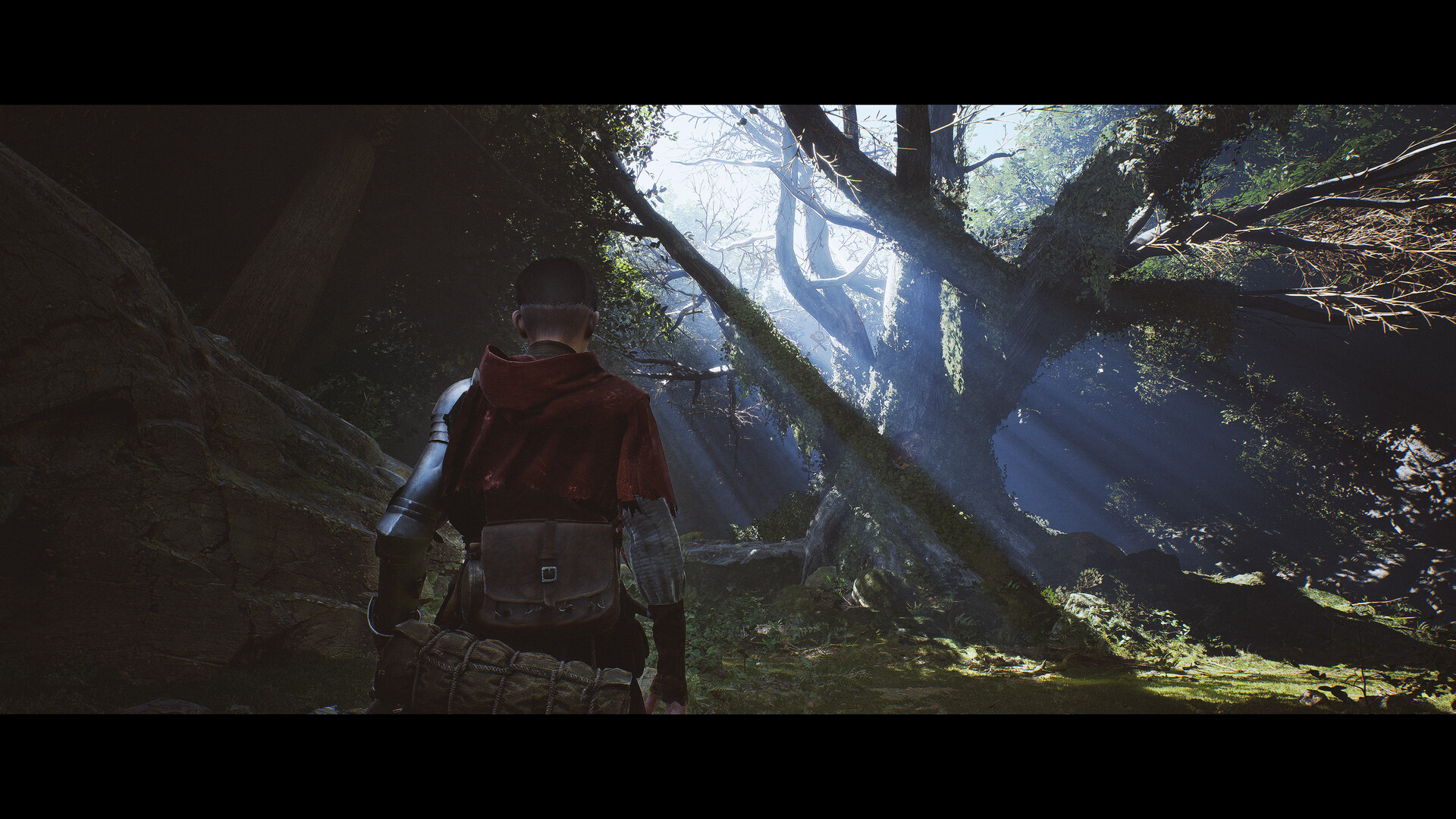 1348：圣誓 (1348 Ex Voto)