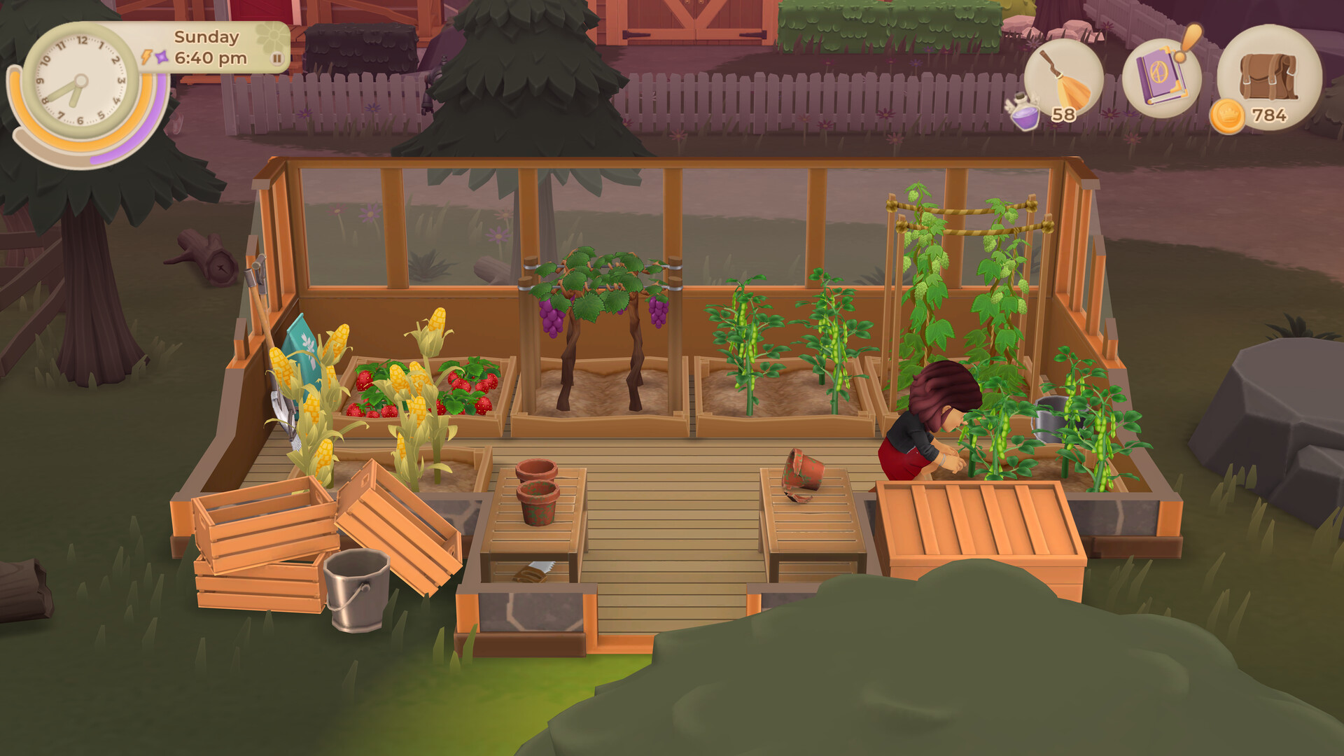 怀德花卉|Wylde Flowers|Build15801751