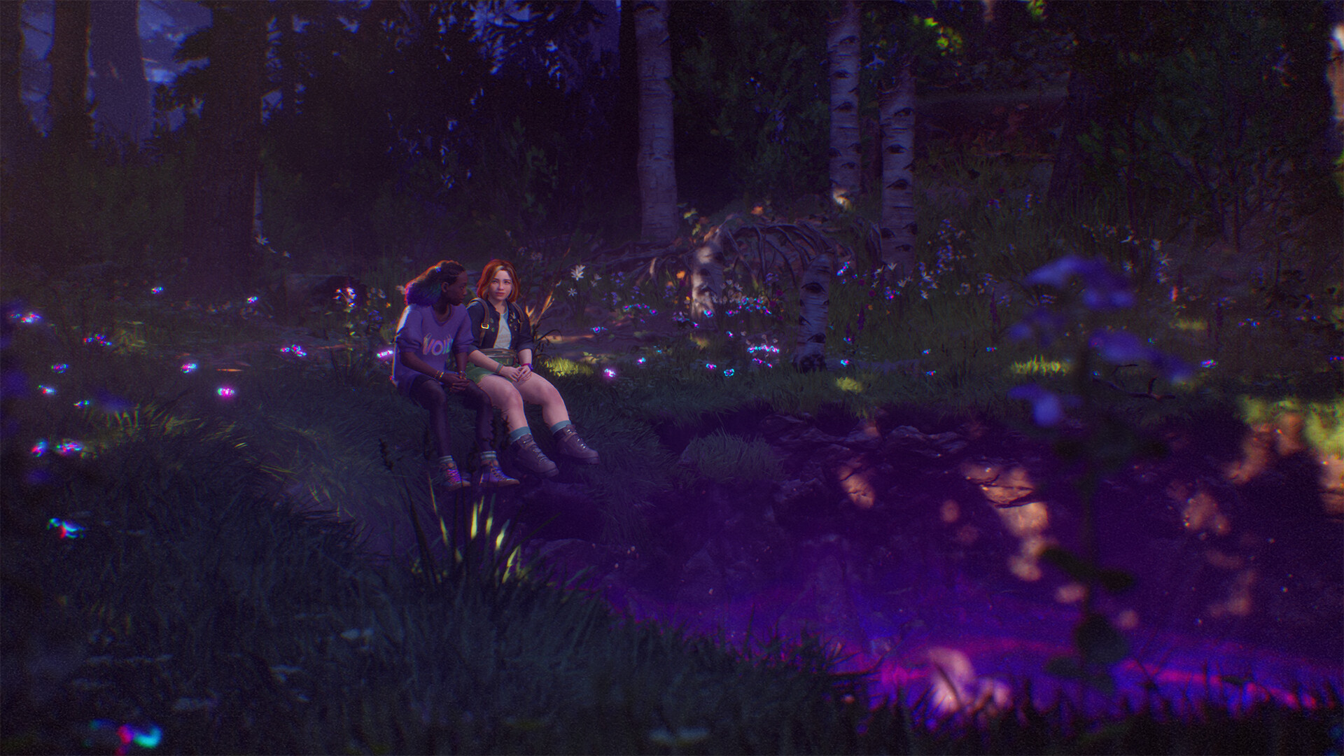 失落的记录：绽放与愤怒|Lost Records Bloom &amp; Rage|2.03.131125