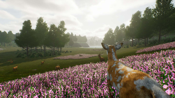 图片[2]-小鹿旅程/Deer Journey-秋风资源网