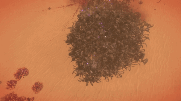 虫潮|Insect Swarm