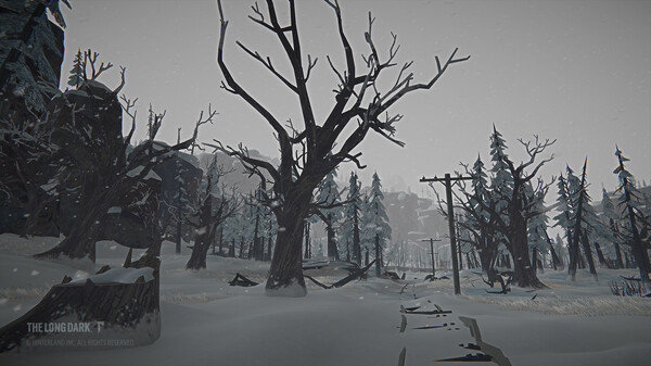 图片[15]-免费下载| 漫漫长夜 The Long Dark v2.33 整合Tales from the Far Territory -飞星（官中）-飞星免费游戏仓库