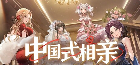 中国式相亲/Matchmaking Inc.-秋风资源网