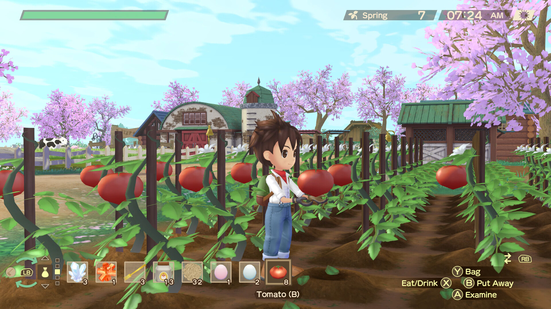 牧场物语 Welcome!美丽人生 豪华中文 v1.0.0+全DLC+跳过剧情存档+修改器 支持手柄 解压即玩-CCAK.CC