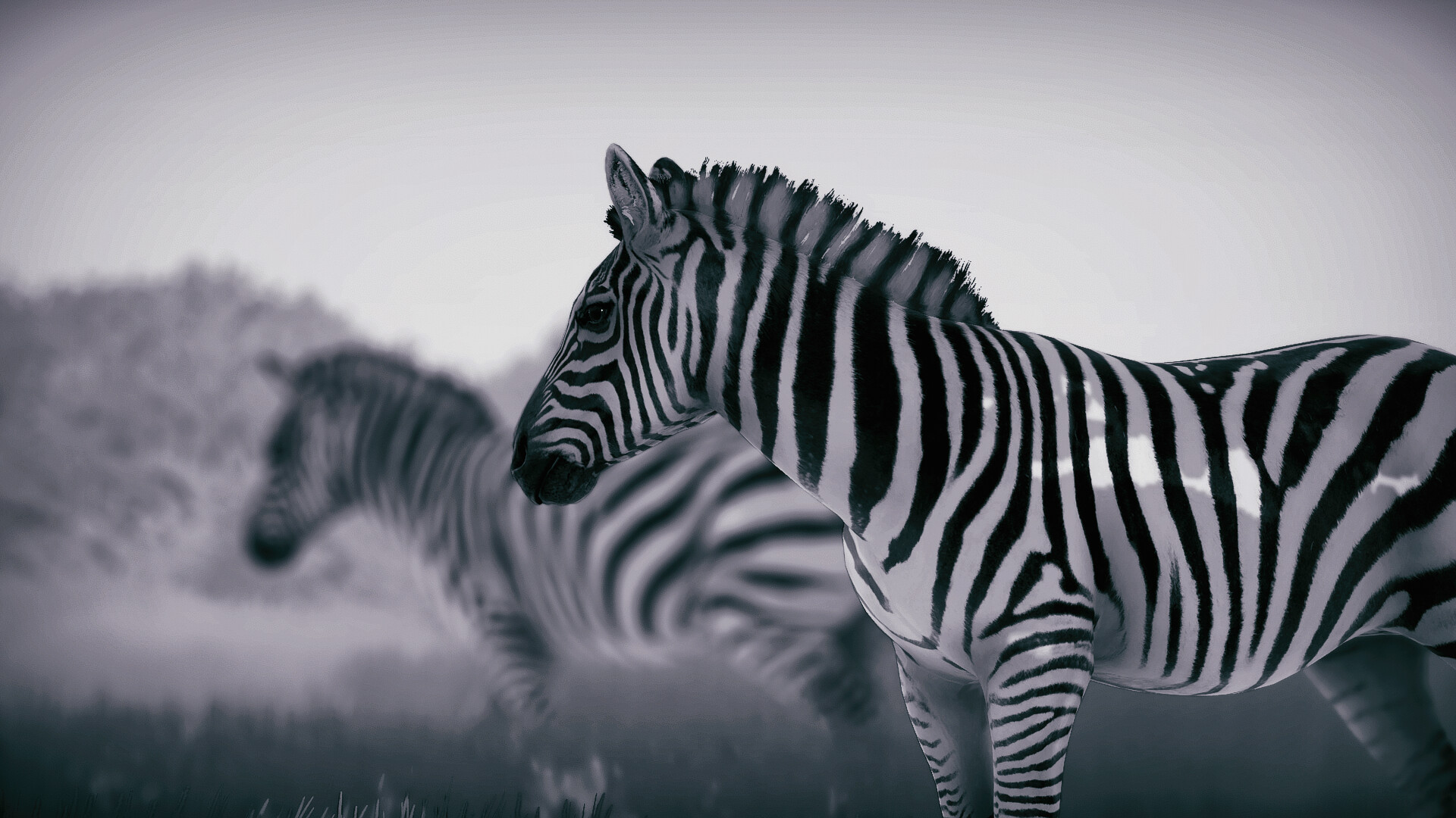 野生动物摄影师模拟器|官方中文|支持手柄|Seclusa插图3跳跳游戏网