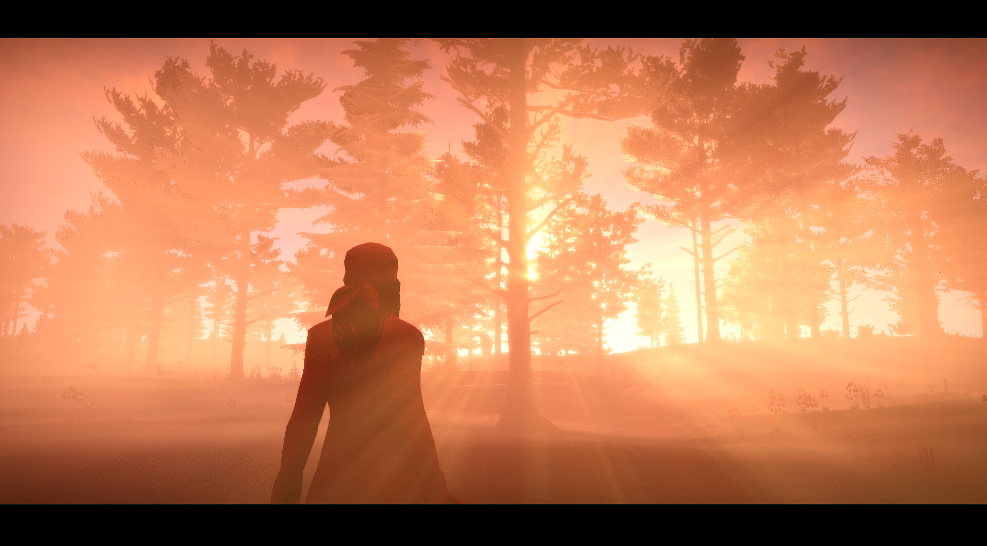 遗忘之海|Forgotten Seas|Build18048194