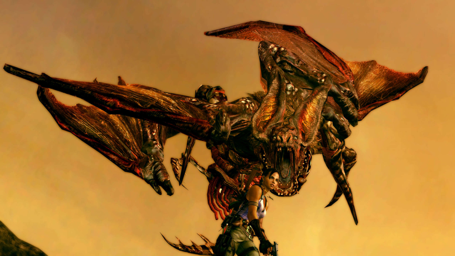 生化危机5|Resident Evil 5|1.2.0