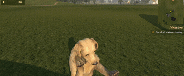 图片[5]-动物训导师模拟器/Animal Trainer Simulator v1.0.0|模拟经营|容量5.5GB|免安装绿色中文版-KXZGAME