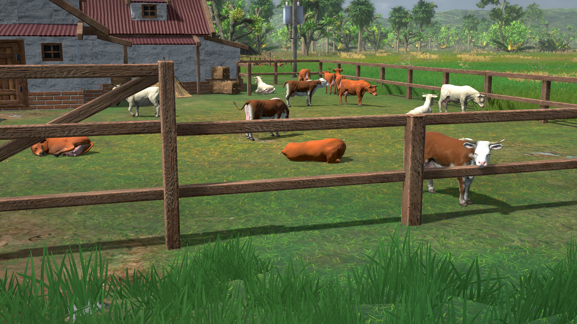 农场经营世界|Farm Manager World|1.0.20250607