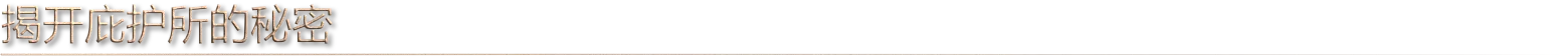 图片[4]-铸剑吟/Bladesong Build.24997196|模拟经营|容量3.6GB|免安装绿色中文版-KXZGAME