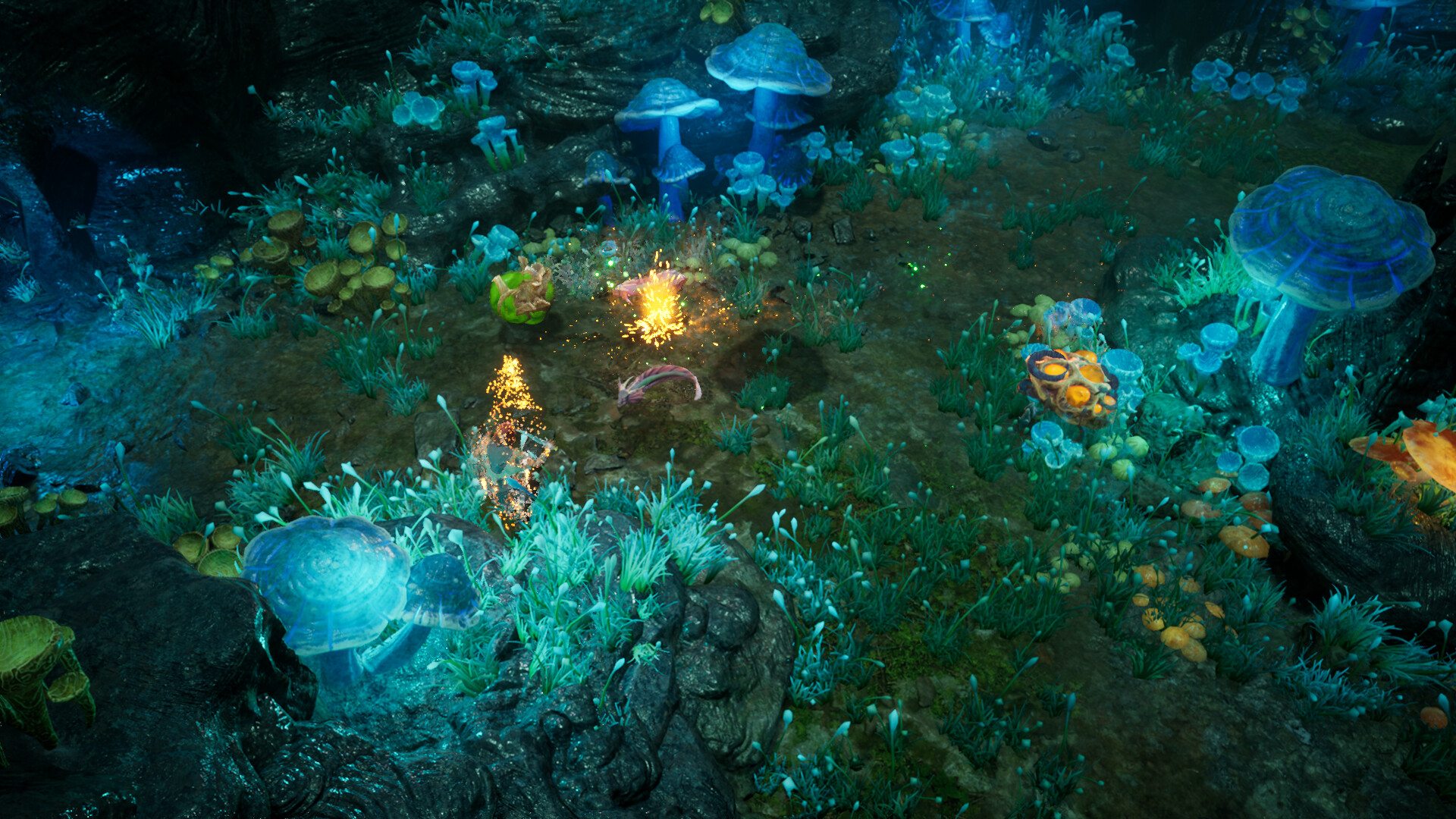 再次崛起 (Rise Again)