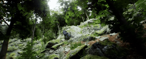 随身摄像机|Bodycam|0.1.4.1