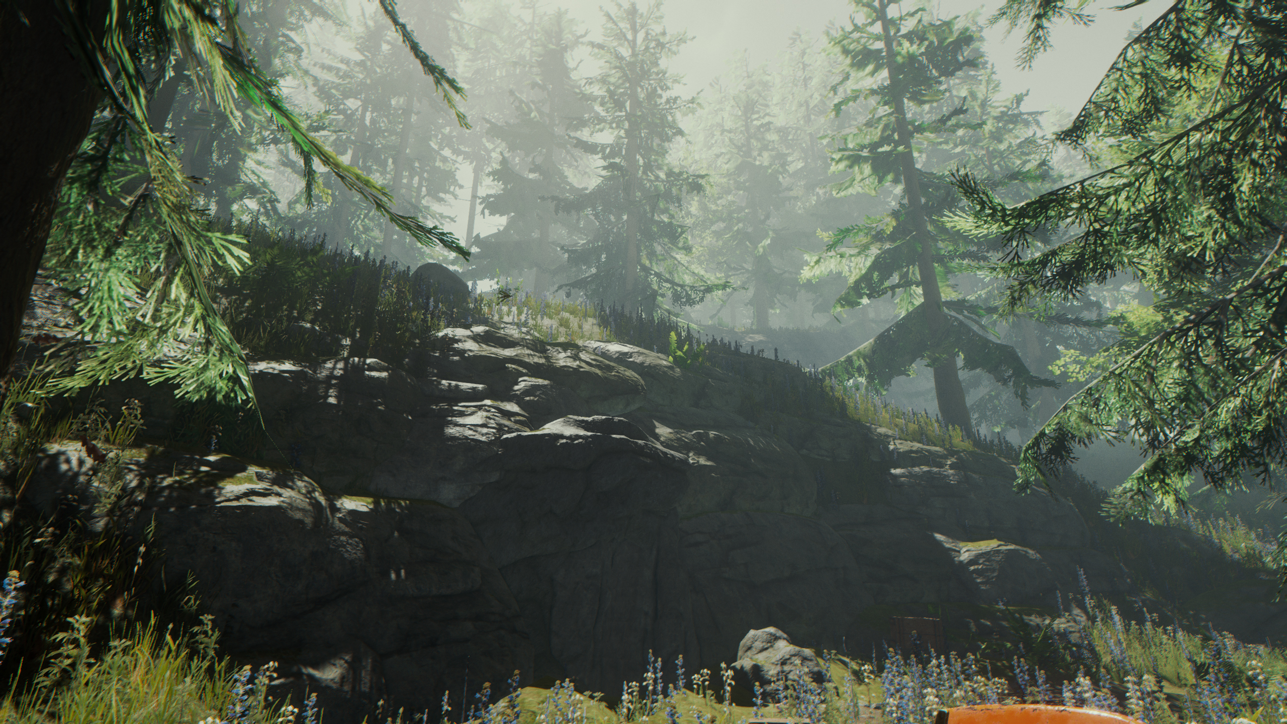 森林1 The Forest 官方中文收藏版 v10+全解锁存档 支持手柄 解压即玩-CCAK.CC