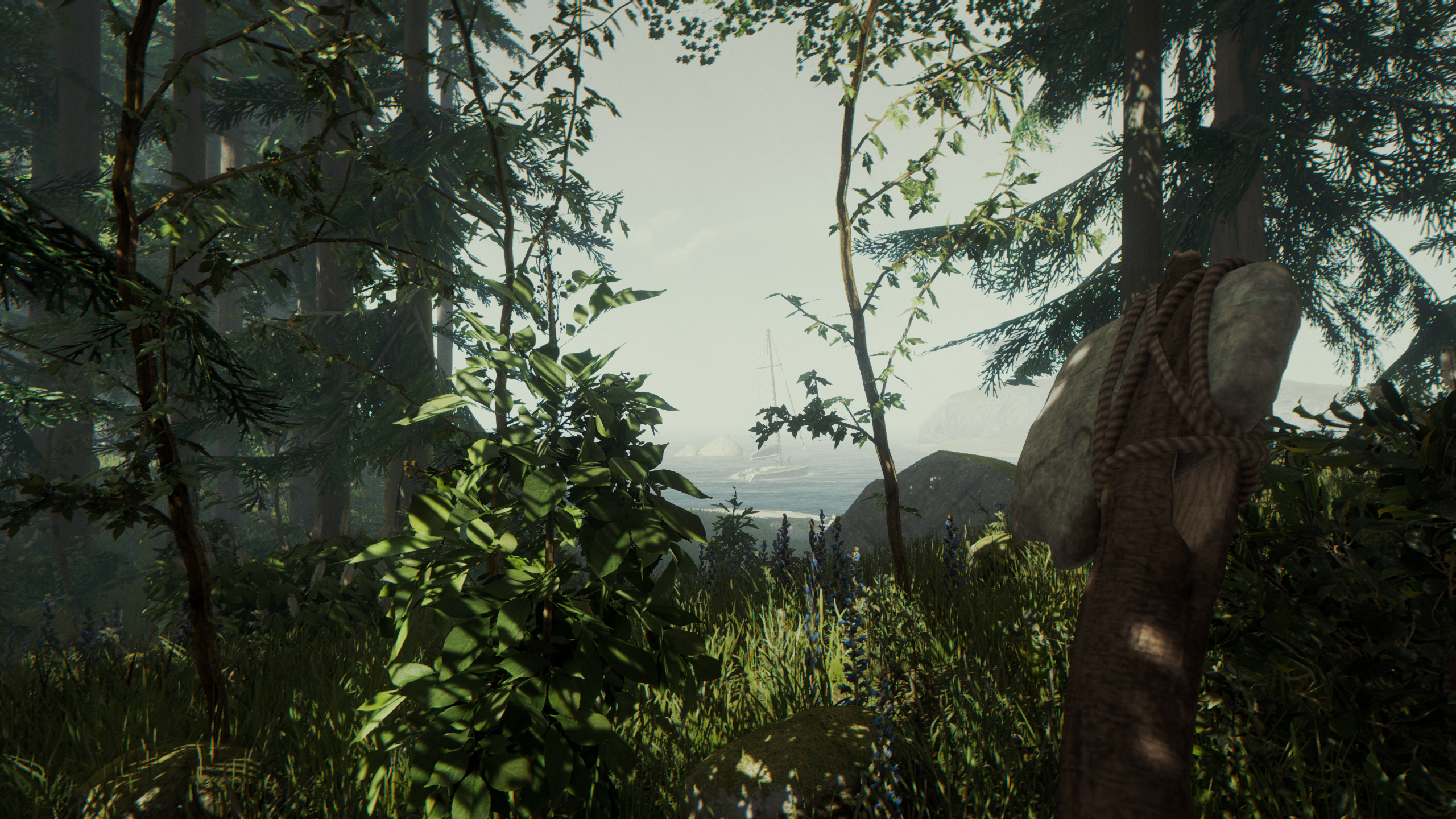 森林1 The Forest 官方中文收藏版 v10+全解锁存档 支持手柄 解压即玩-CCAK.CC