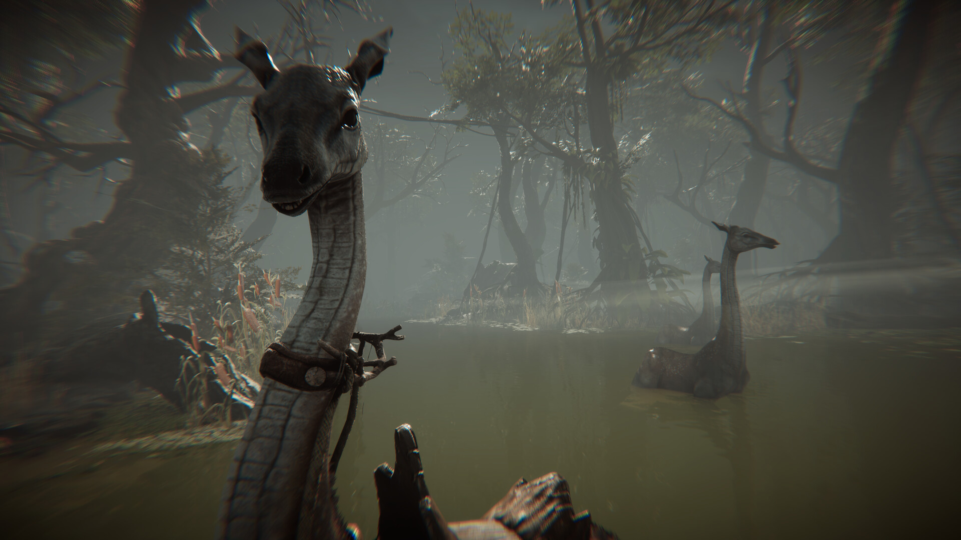 图片[10]-Amerzone：探险家的记忆传承/Amerzone – The Explorer’s Legacy Build.18281736|动作冒险|26.8GB|中文-蝶影二次元