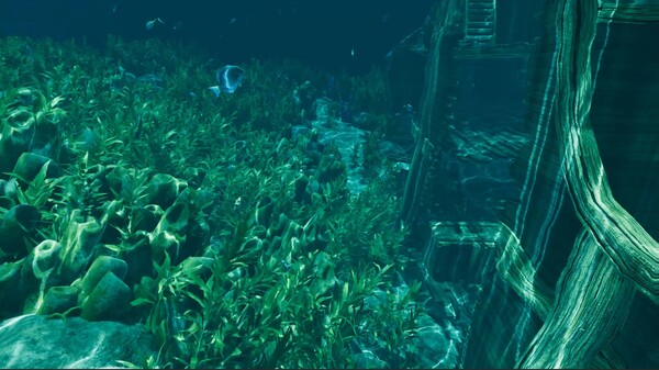 图片[5]-孤岛笔记/Island Notes Build.19715327（官中）-无忧免费游戏网