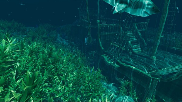 图片[3]-孤岛笔记/Island Notes Build.19715327（官中）-无忧免费游戏网