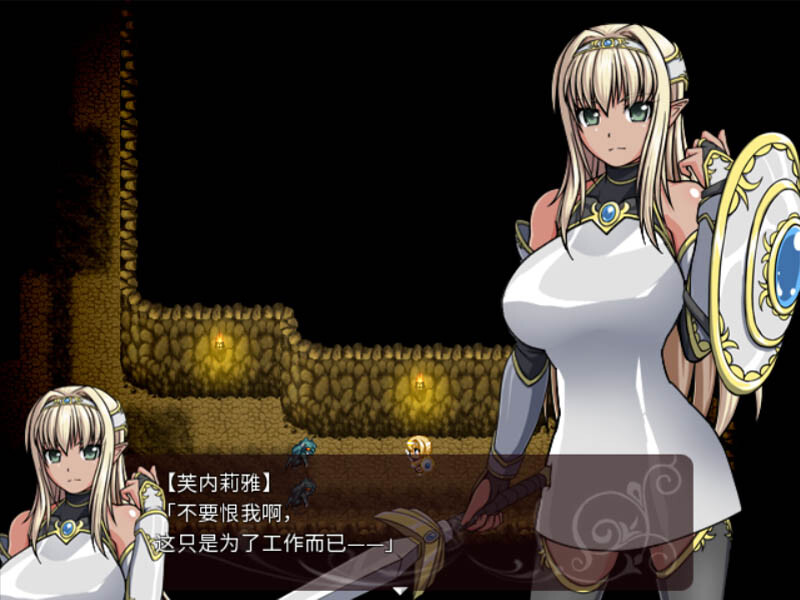 【RPG】黑暗精灵史记 Dark Elf Historia 官方中文+特典码[PC]-95次元