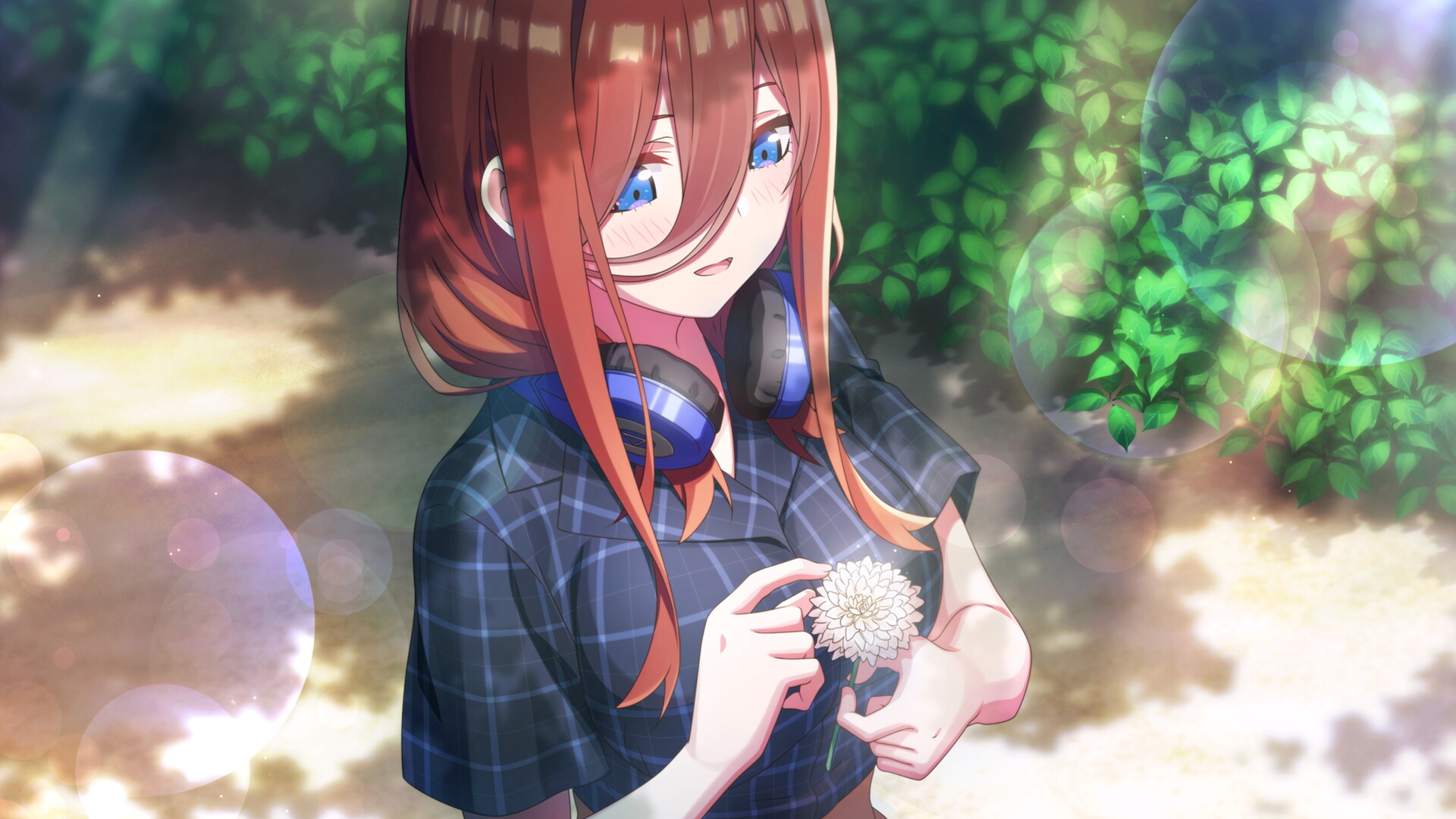 五等分的新娘 ～夏日回忆也是五等分～ / 五等分の花嫁∬ ～夏の思い出も五等分～插图4