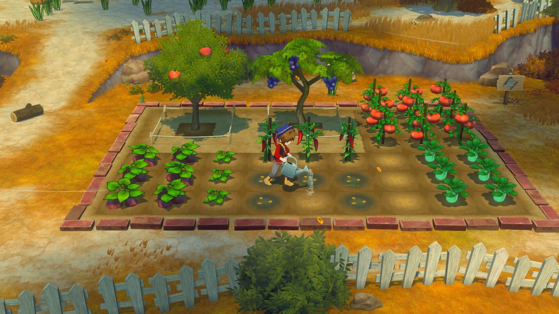 图片[1]-【农场模拟/生活/治愈】牧场物语 来吧！风之繁华集市/Story of Seasons Grand Bazaar v1.5.0 豪华中文版 全DLC 打包修改器【10GB】-嘤嘤怪之家