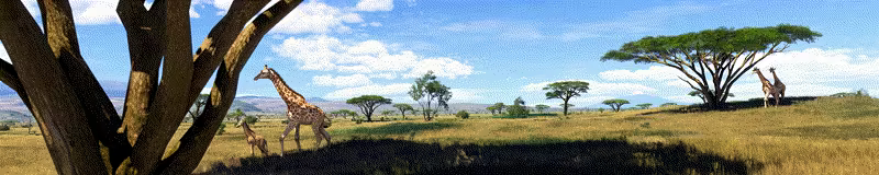 图片[14]-微软飞行模拟2024/Microsoft Flight Simulator 2024 v1.39.9.0（官中）-无忧免费游戏网