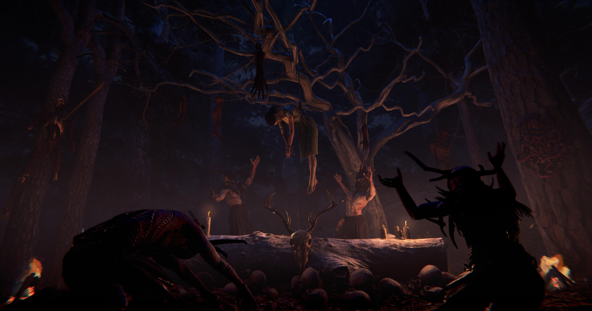 覆巢之地 (Nested Lands)