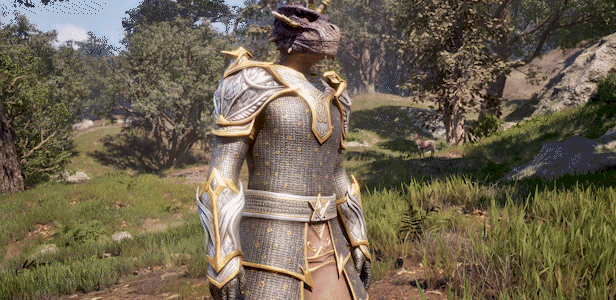 上古卷轴IV：湮灭重制版/The Elder Scrolls IV: Oblivion Remastered配图3