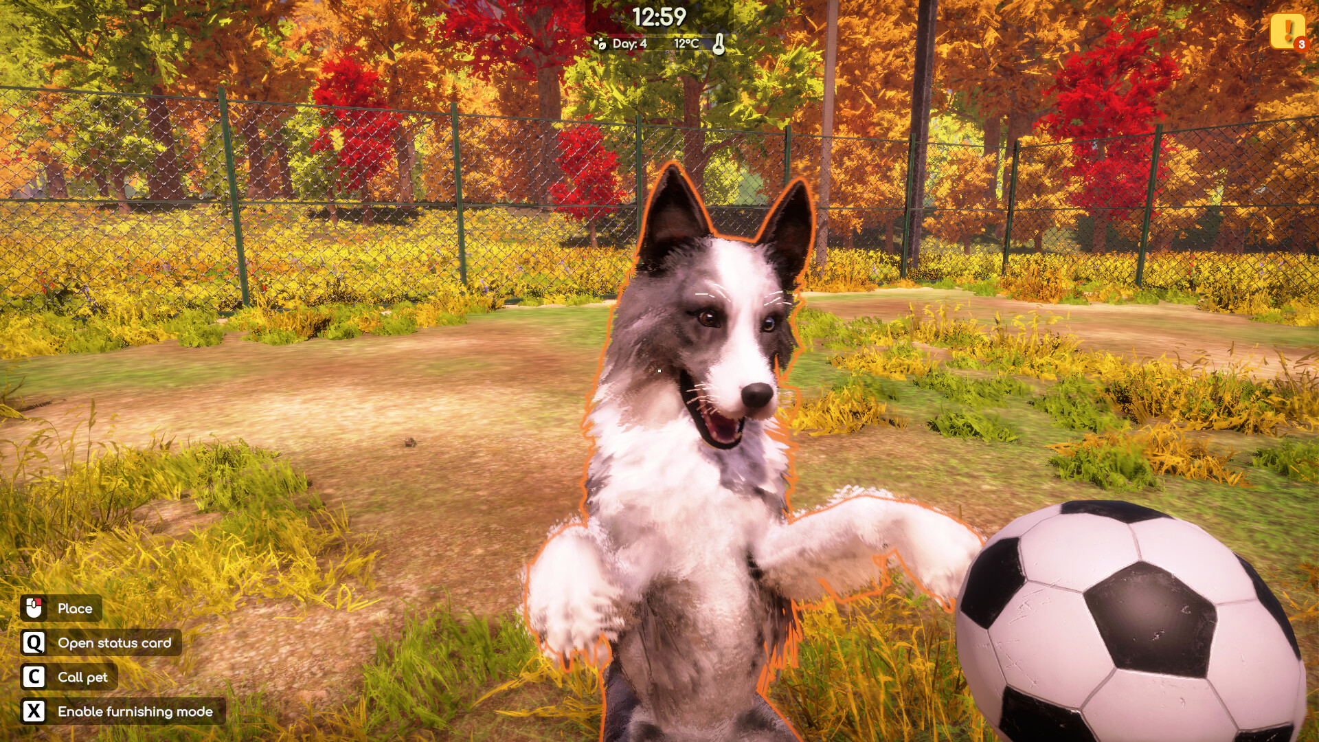 图片[5]-动物收容所2 / Animal Shelter 2 v1.0.0 简体中文版 - 软壳源码网-软壳源码网