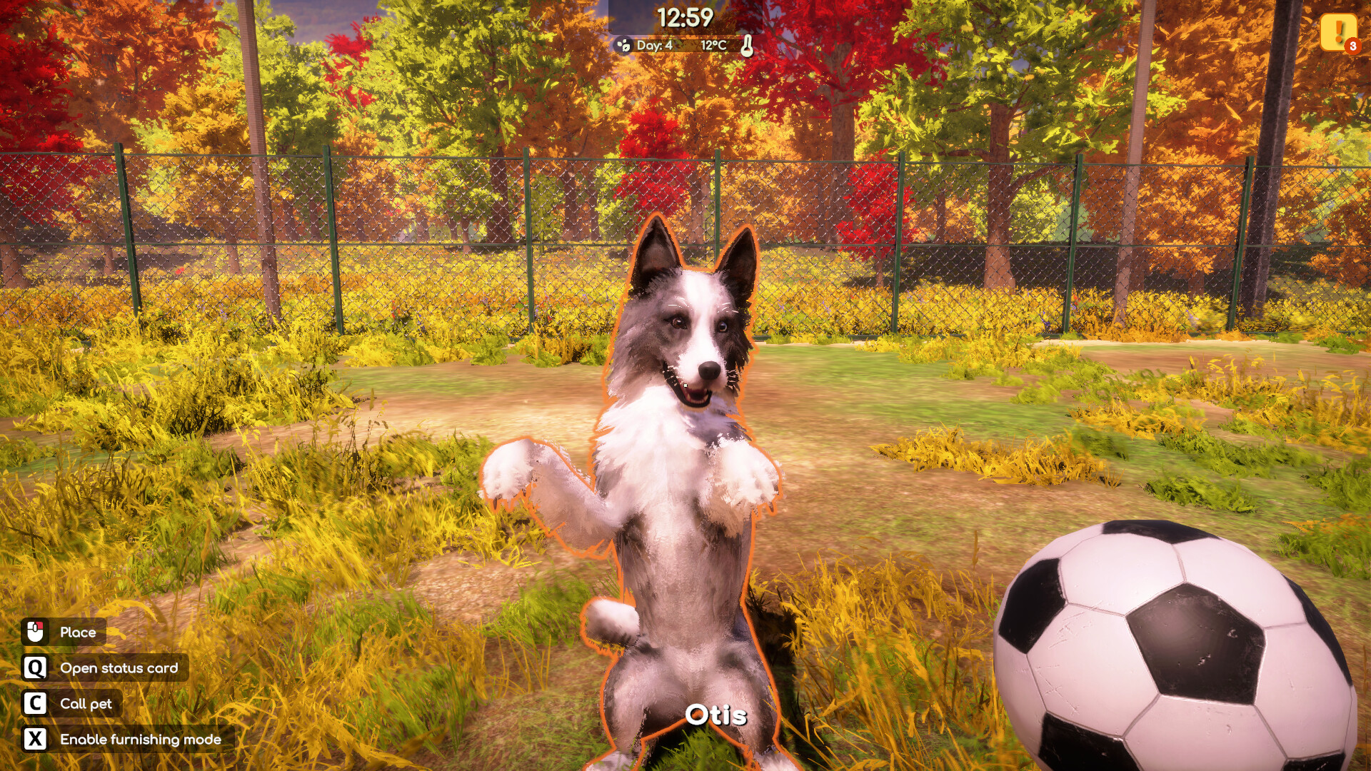 图片[3]-动物收容所2 / Animal Shelter 2 v1.0.0 简体中文版 - 软壳源码网-软壳源码网