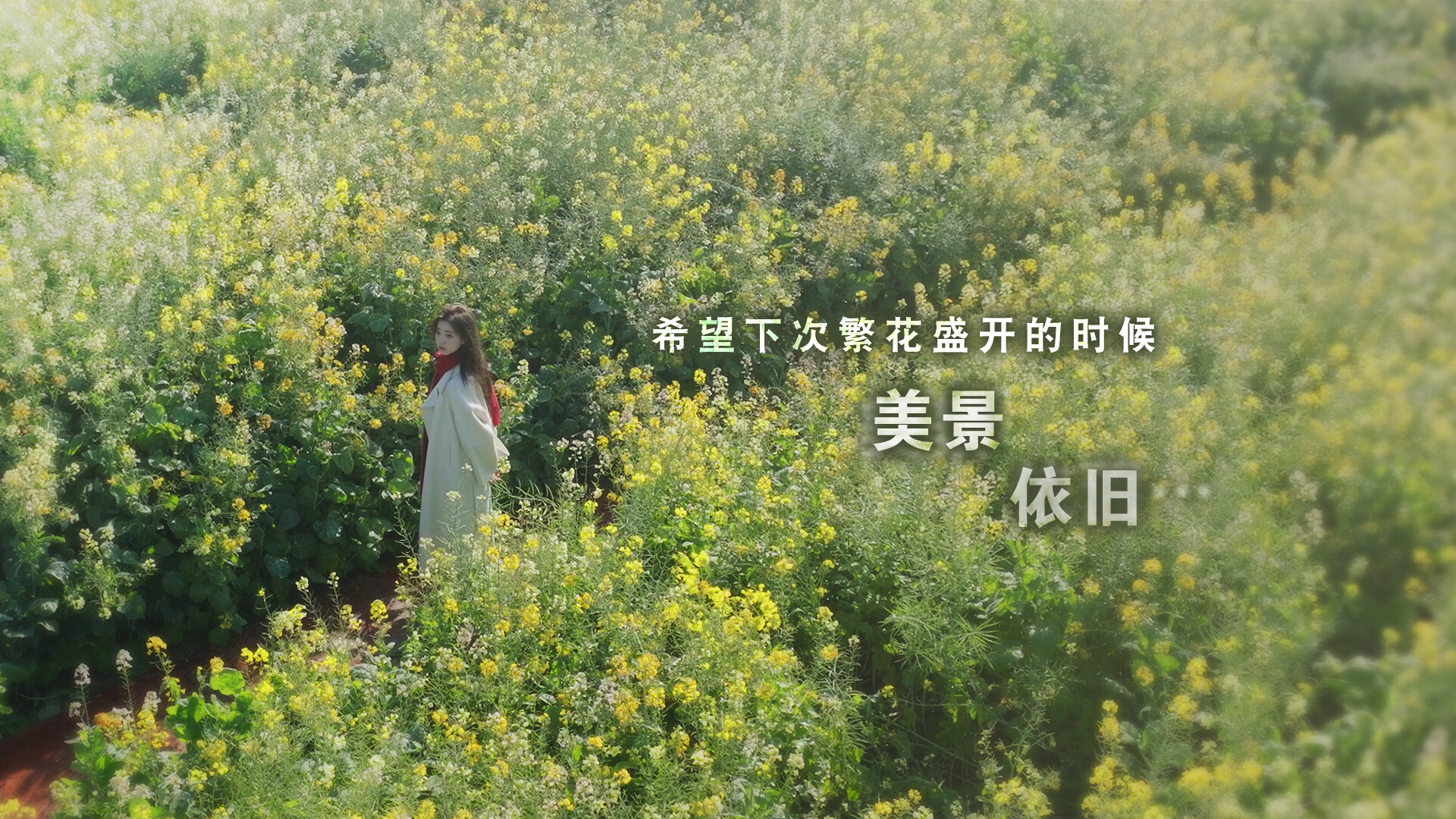 游戏截图1