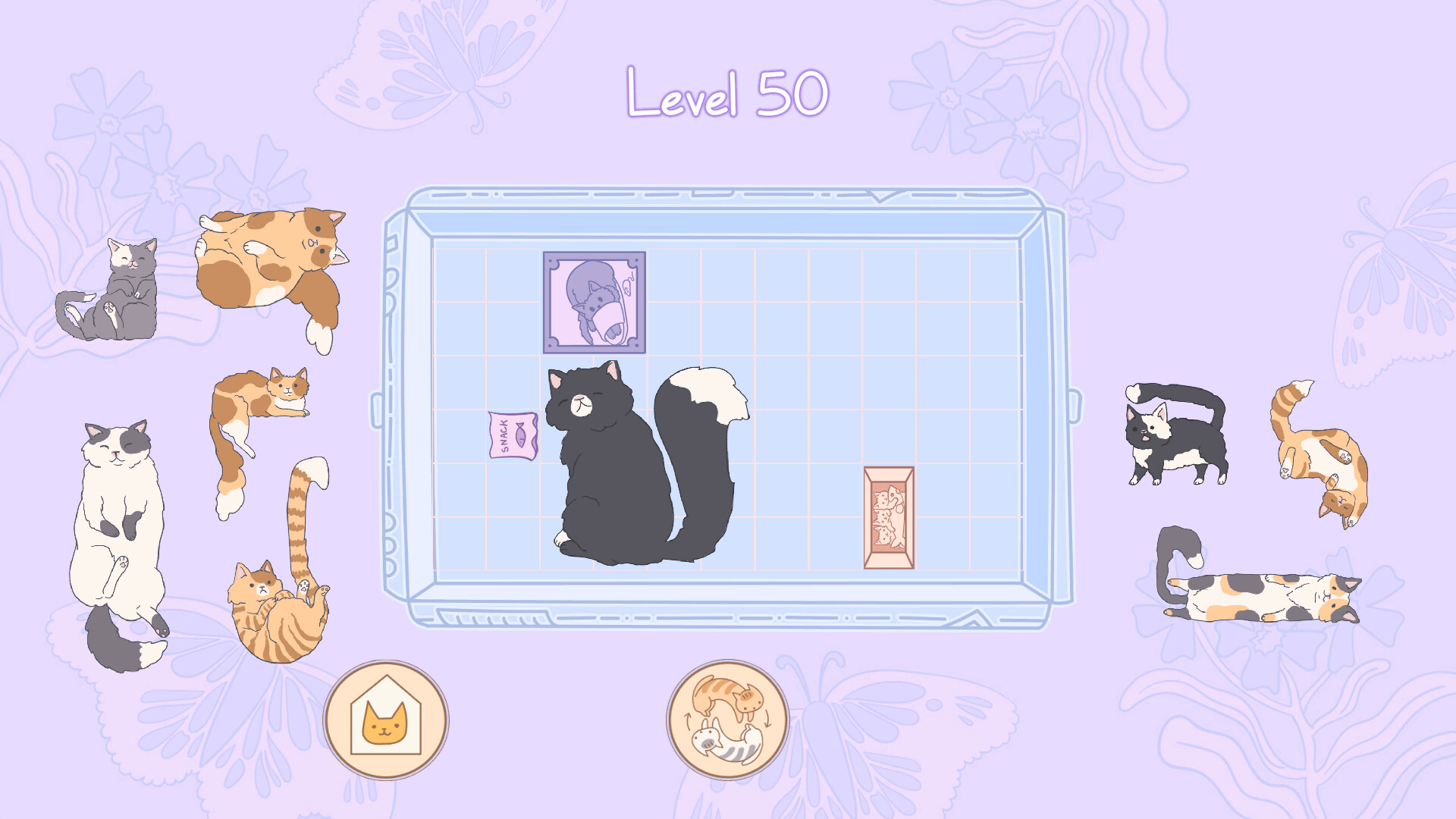 盒中猫|官方中文|NSZ|原版|Cats in Boxes - 4