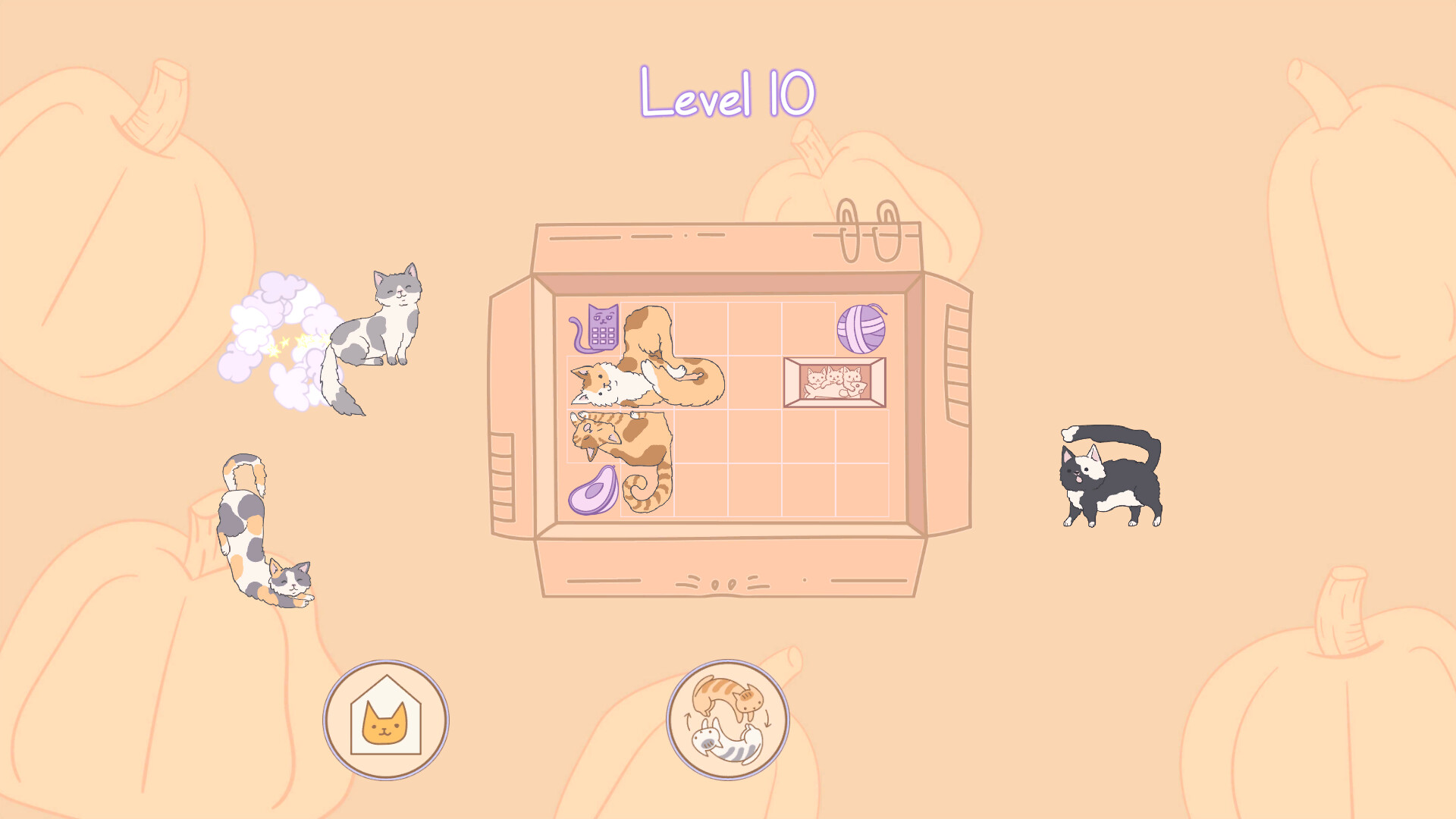 盒中猫|官方中文|NSZ|原版|Cats in Boxes - 2