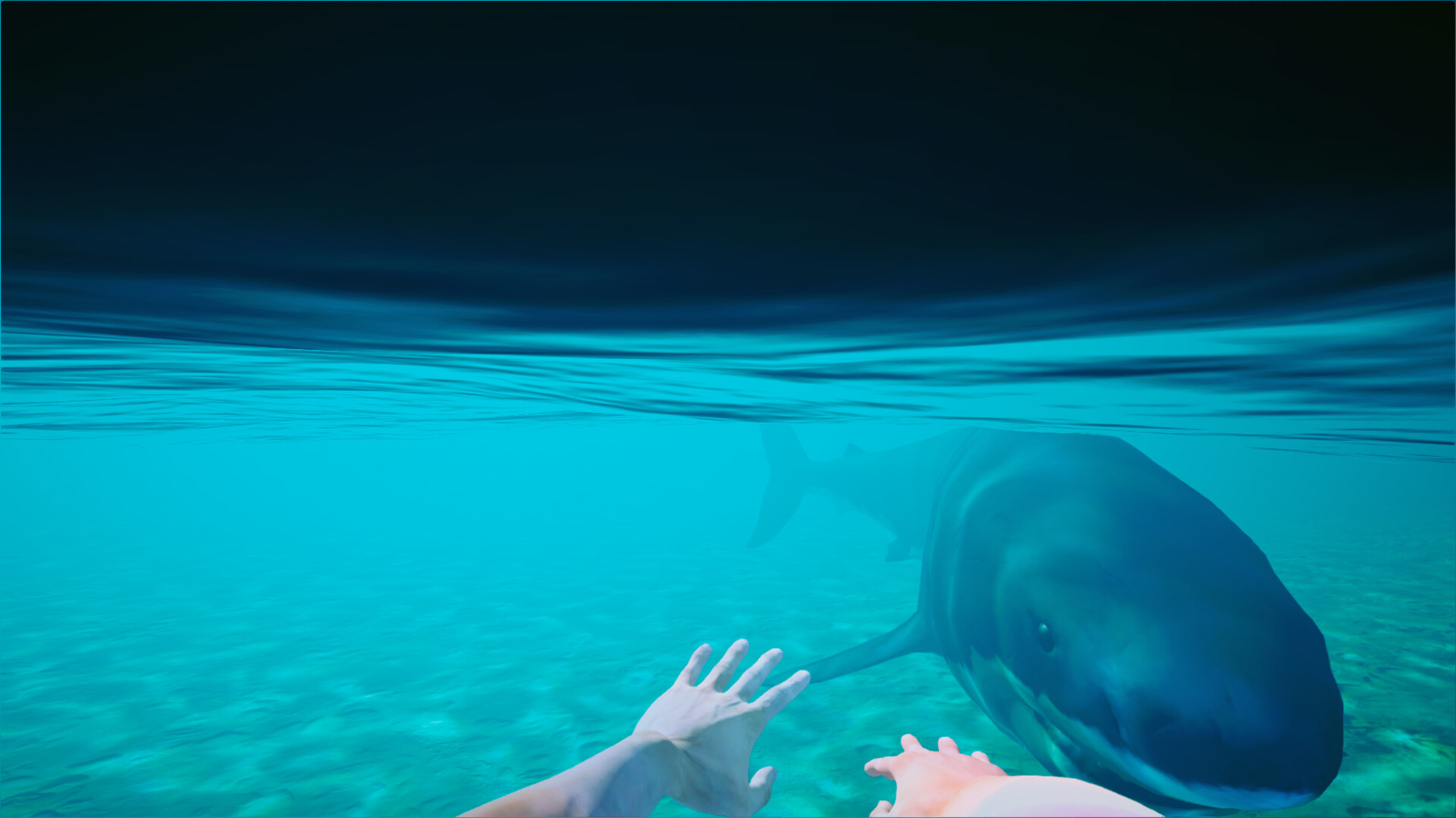 图片[3]-海滩俱乐部模拟器2024/Beach Club Simulator 2024-秋风资源网