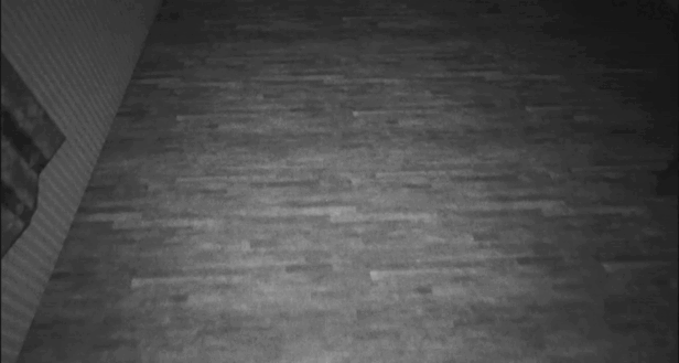 玩偶冒名者|Doll Impostor|Build17725471