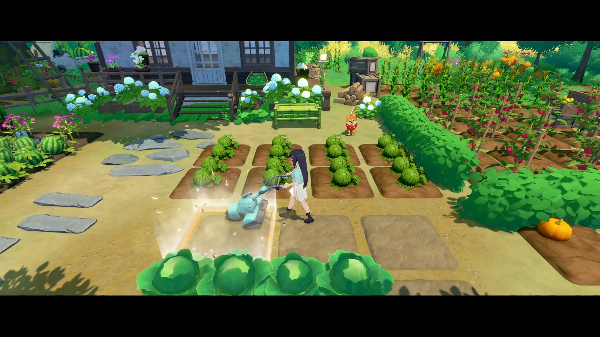 图片[15]-星砂岛（StarSand Island）免安装中文版下载-蒸汽游戏宝库 - 高质量Steam单机游戏下载站