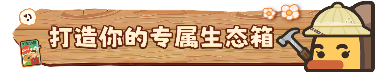 虫虫生态箱|Bugtopia