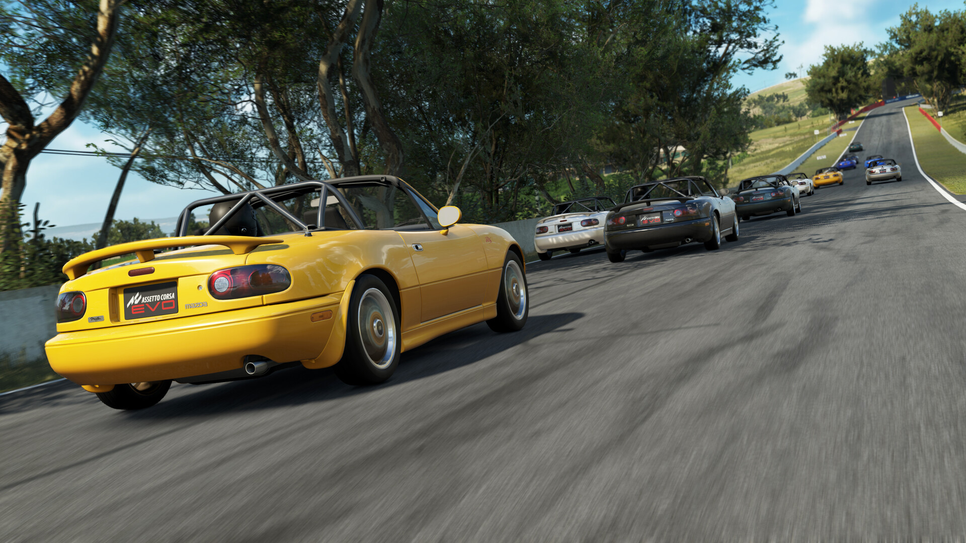 神力科莎EVO|Assetto Corsa EVO|0.2.2
