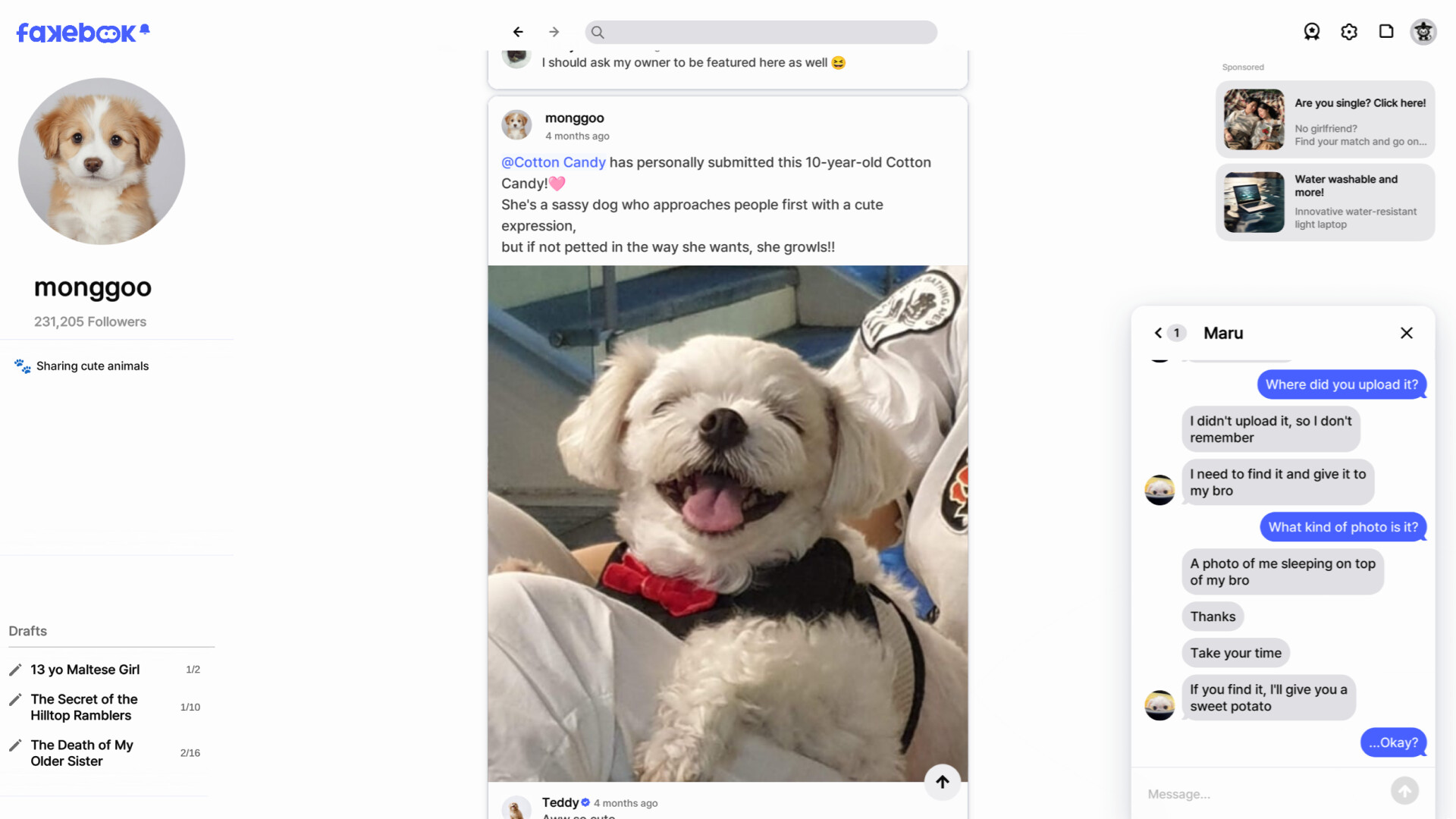 FAKEBOOK : 假书