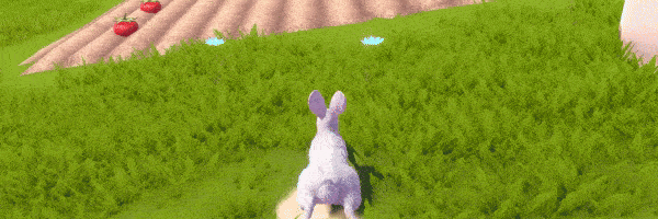 图片[6]-冒险森林：兔子物语/Adventure Forest: Rabbit Story Build.17956122|动作冒险|378MB|中文-蝶影二次元