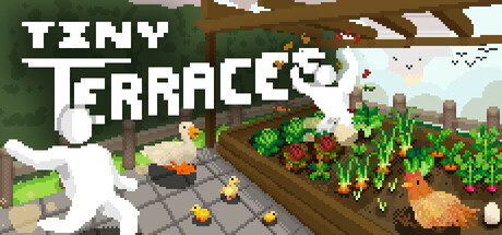 小梯田/Tiny Terraces-秋风资源网