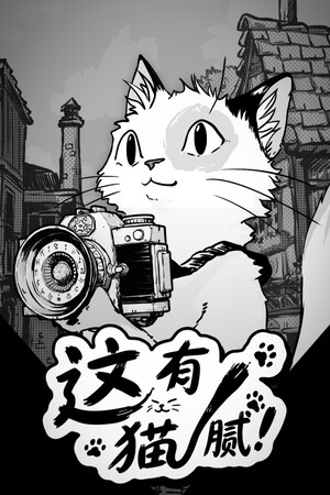 这有猫腻