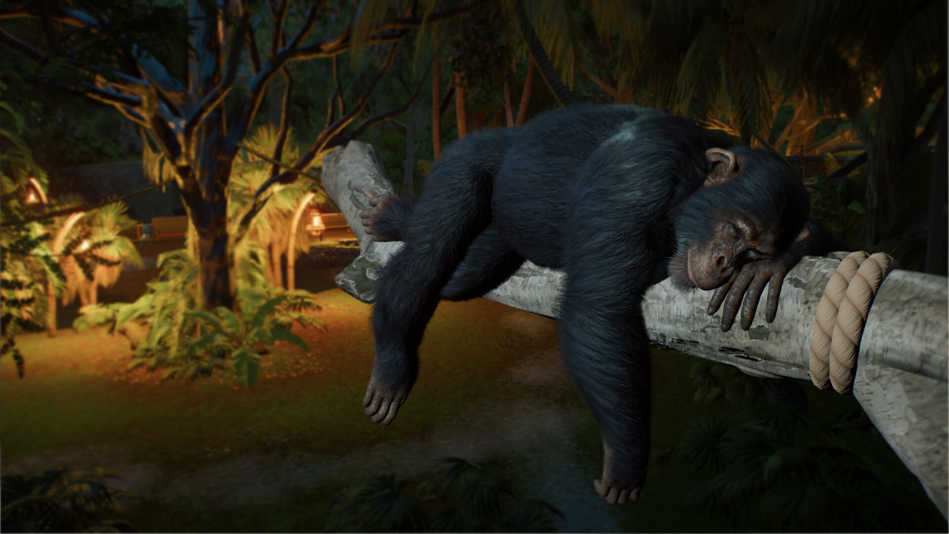 图片[43] • 《动物园之星2/Planet Zoo 2》v1.0.5|容量43.3GB|官方中文简体|支持键盘鼠标手柄|授权版 • BUG软件