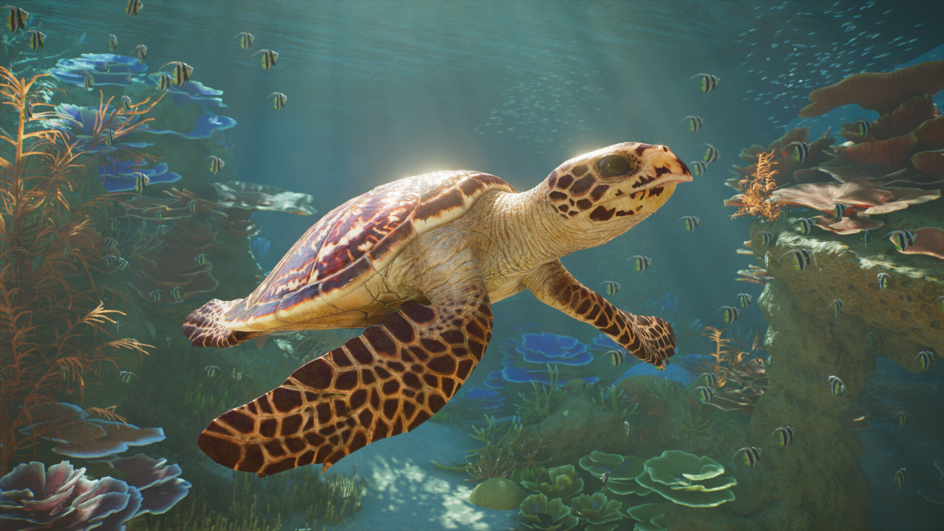 图片[21] • 《动物园之星2/Planet Zoo 2》v1.0.5|容量43.3GB|官方中文简体|支持键盘鼠标手柄|授权版 • BUG软件