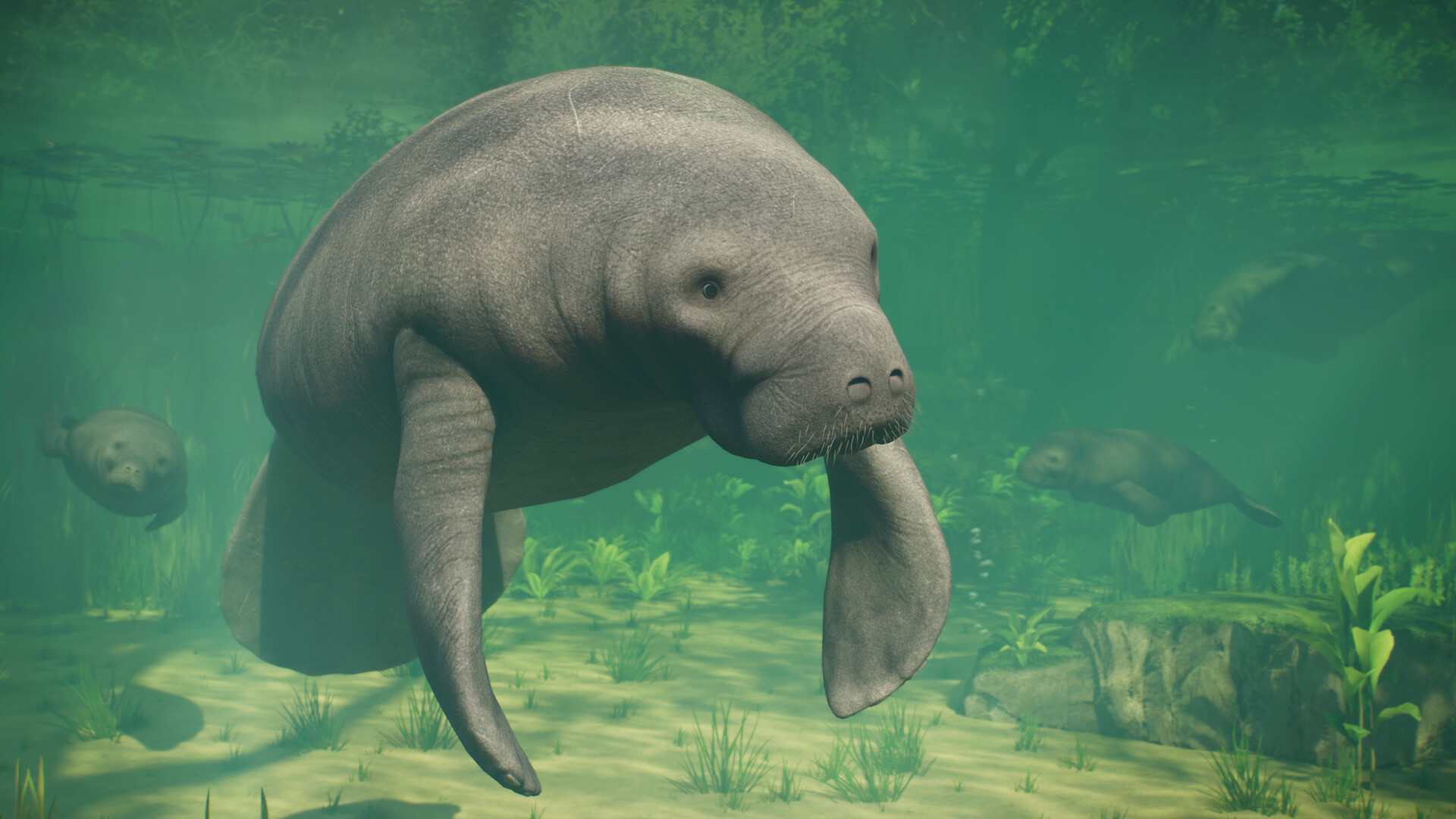 图片[39] • 《动物园之星2/Planet Zoo 2》v1.0.5|容量43.3GB|官方中文简体|支持键盘鼠标手柄|授权版 • BUG软件