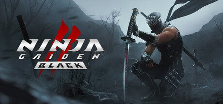 忍者龙剑传2：黑之章 NINJA GAIDEN 2 Black 多国语言 (含简体中文) 免安装版解压即玩-admin资源避难所