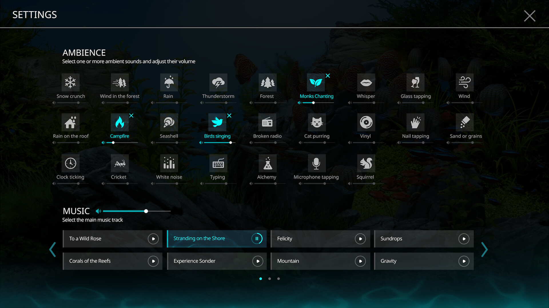 禅意水族馆 (Zen Aquarium)